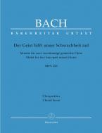 Lo Spirito aiuta la nostra debolezza BWV 226 Standard