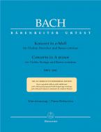 Concerto in la minore BWV 1041 Standard