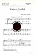 Wanderers Nachtlied 
