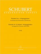 Sonata in la minore D 821 'Arpeggione' Standard