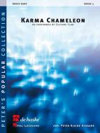Karma Chameleon 