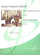 12 Grands Caprices op. 32 