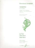 Larghetto für Horn und Orchester 