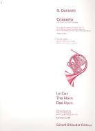 Concerto pour Cor et Orchestre a Cordes 