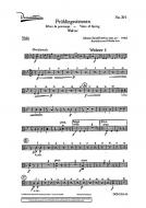 Frühlingsstimmen op. 410 Standard
