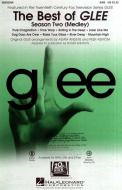 The Best Of Glee (Season Two Medley) Standard