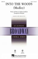Into The Woods (Medley) Standard