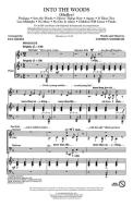 Into The Woods (Medley) Standard