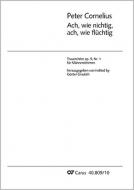 Ach wie nichtig, ach wie flüchtig 
