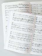 Mailied 