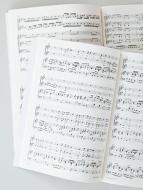 Wir danken dir, Herr Jesu Christ, daß du vom Tod erstanden bist 