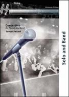 Concertino For Piccolo And Band 