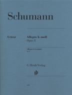 Allegro in si minore op. 8 
