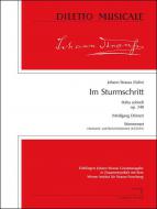Im Sturmschritt Op. 348 