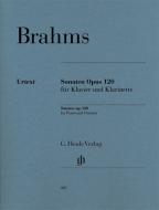 Sonate op. 120 