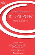 If I Could Fly 