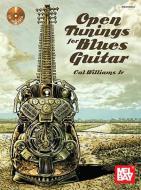 Open Tunings For Blues Guitar 