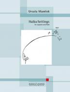 Haiku Settings 
