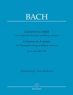 Concerto in la minore (dopo BWV 593) Standard