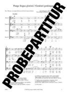 Pange lingua phrygisch Download