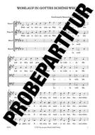 Wohlauf in Gottes schöne Welt Download