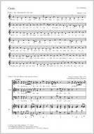 Credo Standard