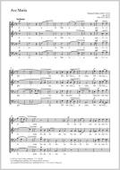 Ave Maria B-Dur op. 60, 25 Standard