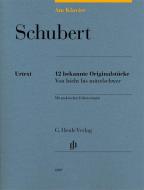 Al pianoforte - Schubert 