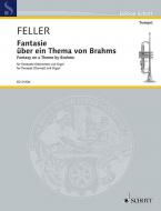 Fantasy on a Theme by Brahms Standard