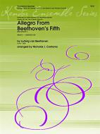 Allegro From Beethoven's 5th Symphony C minor op. 67 Standard