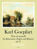 Trio in sol minore op. 75 