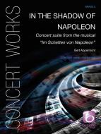 In The Shadow Of Napoleon 