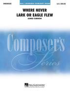 Where Never Lark Or Eagle Flew 