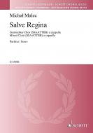 Salve Regina Standard