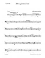 Requiem c-Moll 