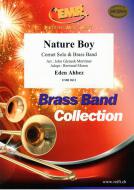 Nature Boy Standard