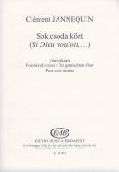 Sok csoda közt 