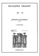 Incognita Organo 31 