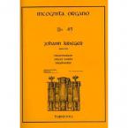 Incognita Organo 45 