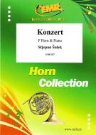 Konzert Download
