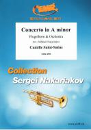 Concerto in A minor Download