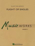 Flight Of Eagles 