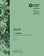 Konzert in f-moll BWV 1056 