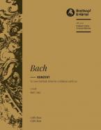 Konzert in c-moll BWV 1062 