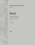 Ouvertüre (Suite) in g-Moll 