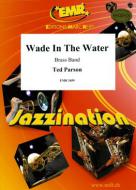 Wade In The Water Download