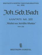 Weichet nur, betrübte Schatten 
