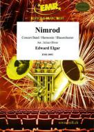 Nimrod Standard