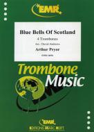 Bluebells Of Scotland Standard