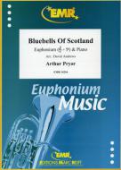 Bluebells Of Scotland Standard